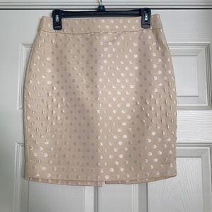 Ann Taylor Skirt